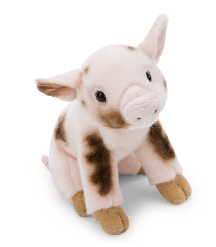 NICI Kuscheltier Schwein 20 cm – 62605